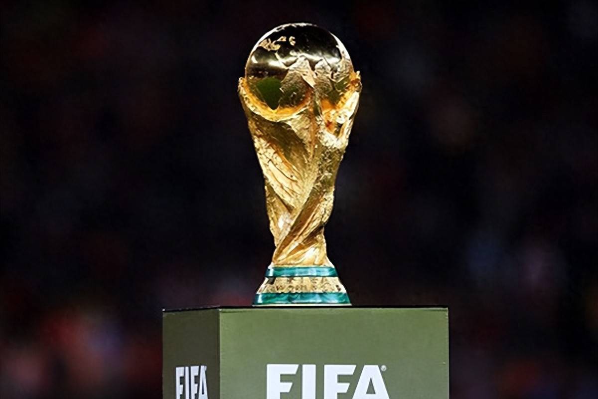 的代入感 的代入感